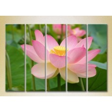 Картина Rainbow Polyptych Lotus pink 03 (2932830)