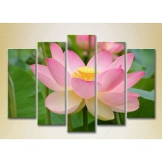 Картина Rainbow Polyptych Lotus pink 05 (2932831)