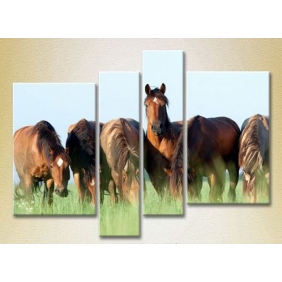 Картина Rainbow Polyptych Horses in the field (2222229)