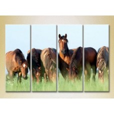 Pictură Rainbow Polyptych Horses in the field 02 (2222230)