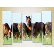 Картина Rainbow Polyptych Horses in the field 03 (2224634)