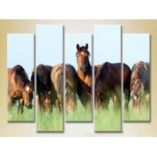 Картина Rainbow Polyptych Horses in the field 04 (2224635)