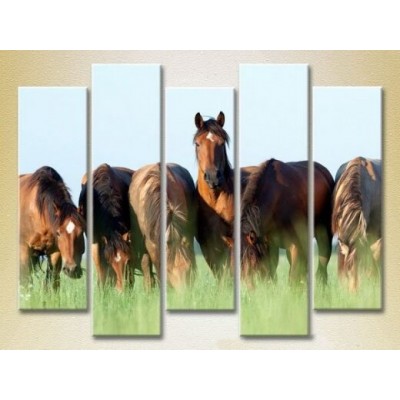 Картина Rainbow Polyptych Horses in the field 04 (2224635)