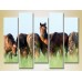 Картина Rainbow Polyptych Horses in the field 04 (2224635)