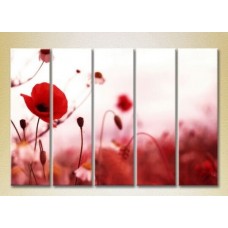 Картина Rainbow Polyptych Poppies 05 (2932836)