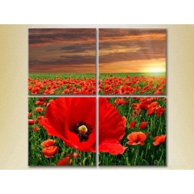 Pictură Rainbow Polyptych Poppy field (2932311)