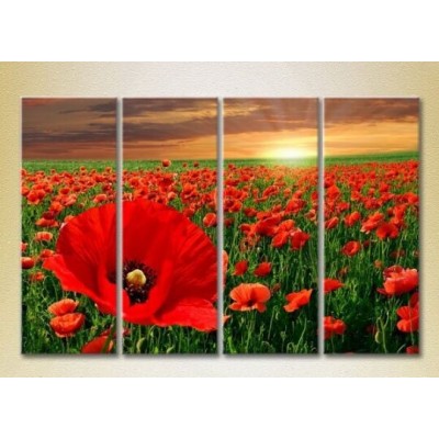 Pictură Rainbow Polyptych Poppy Field 01 (2932312)