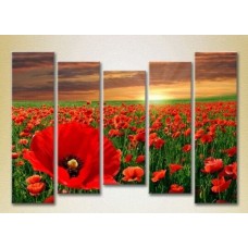 Картина Rainbow Polyptych Poppy Field 02 (2932837)