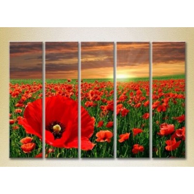 Картина Rainbow Polyptych Poppy Field 03 (2932838)