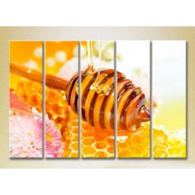 Картина Rainbow Polyptych Honey in honeycombs 05 (2224595)