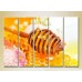 Картина Rainbow Polyptych Honey in honeycombs 05 (2224595)