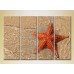 Картина Rainbow Polyptych Starfish on the shore (2223407)