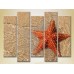 Pictură Rainbow Polyptych Starfish on the Shore 01 (2224772)