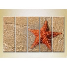 Pictură Rainbow Polyptych Starfish on the Shore 02 (2224771)