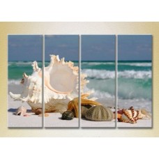 Картина Rainbow Polyptych Seashells 01 (2223430)