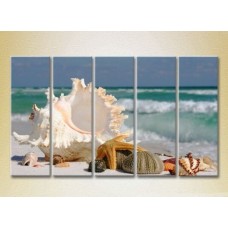 Pictură Rainbow Polyptych Seashells 03 (2224773)