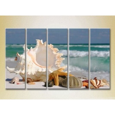 Pictură Rainbow Polyptych Seashells 03 (2224773)