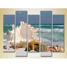 Pictură Rainbow Polyptych Seashells 04 (2224776)