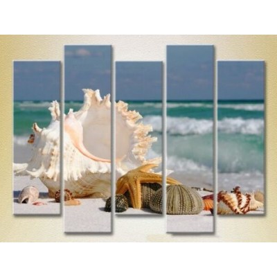 Pictură Rainbow Polyptych Seashells 04 (2224776)