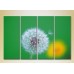 Pictură Rainbow Polyptych Dandelion on a green background 01 (2932318)