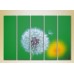 Картина Rainbow Polyptych Dandelion on a green background 04 (2932844)