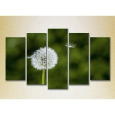 Картина Rainbow Polyptych Dandelion 01 (2932845)