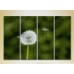 Pictură Rainbow Polyptych Dandelion 05 (2932319)