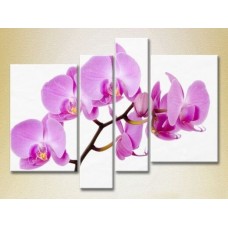 Pictură Rainbow Polyptych Orchids lilac (2932323)