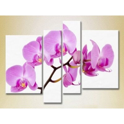 Pictură Rainbow Polyptych Orchids lilac (2932323)