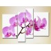 Pictură Rainbow Polyptych Orchids lilac (2932323)