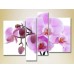 Картина Rainbow Polyptych Orchids lilac with buds 02 (2932325)