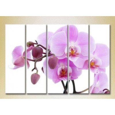 Картина Rainbow Polyptych Orchids lilac with buds 03 (2932847)