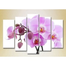 Картина Rainbow Polyptych Orchids lilac with buds 05 (2932848)