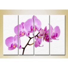 Картина Rainbow Polyptych Orchids lilac 01 (2932327)