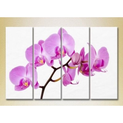 Картина Rainbow Polyptych Orchids lilac 01 (2932327)