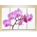 Картина Rainbow Polyptych Orchids lilac 01 (2932327)