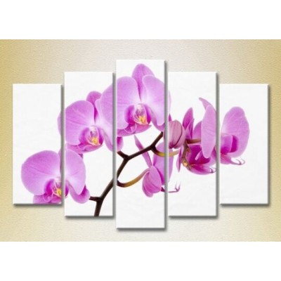 Картина Rainbow Polyptych Orchids lilac 03 (2932849)