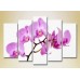 Картина Rainbow Polyptych Orchids lilac 03 (2932849)