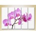 Картина Rainbow Polyptych Orchids lilac 04 (2932850)