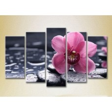 Картина Rainbow Polyptych Orchid Purple (2932851)