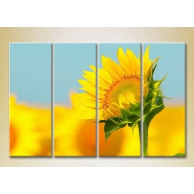 Pictură Rainbow Polyptych Sunflower (2932332)