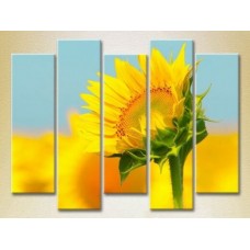 Pictură Rainbow Polyptych Sunflower 02 (2932855)