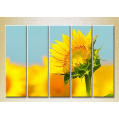 Pictură Rainbow Polyptych Sunflower 04 (2932856)