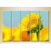 Pictură Rainbow Polyptych Sunflower 04 (2932856)