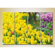 Pictură Rainbow Polyptych Field of yellow tulips 01 (2932334)