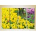 Pictură Rainbow Polyptych Field of yellow tulips 01 (2932334)