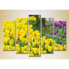 Pictură Rainbow Polyptych Field of yellow tulips 05 (2932857)