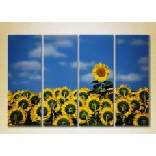 Pictură Rainbow Polyptych Sunflower Field 02 (2932336)