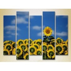 Картина Rainbow Polyptych Field of Sunflowers 03 (2932858)