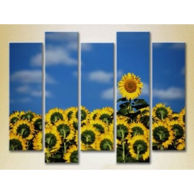 Картина Rainbow Polyptych Field of Sunflowers 03 (2932858)